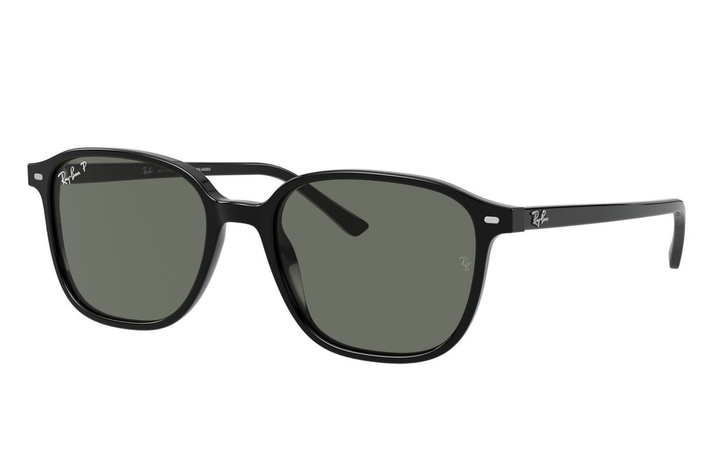 Ray-Ban | 0RB2193
