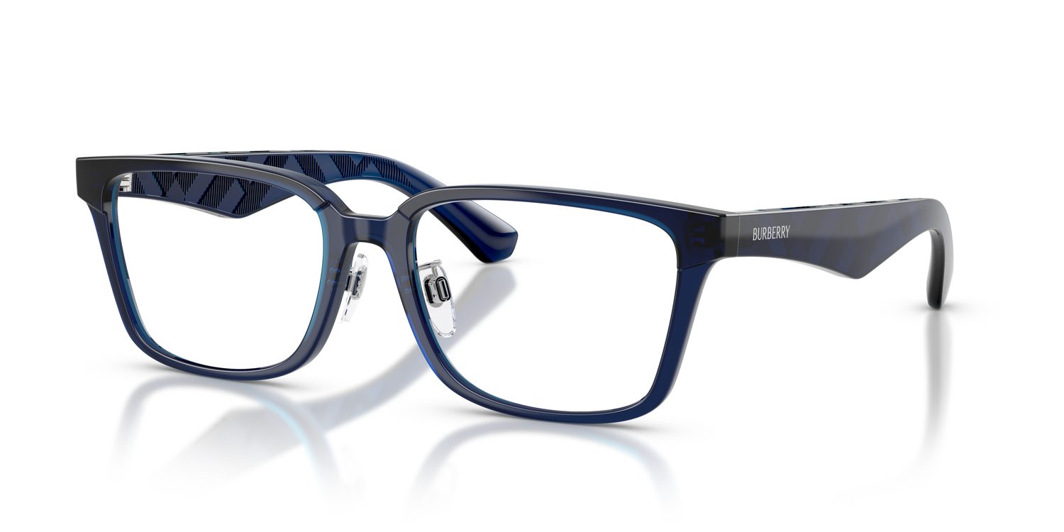 Burberry | 0BE2450D