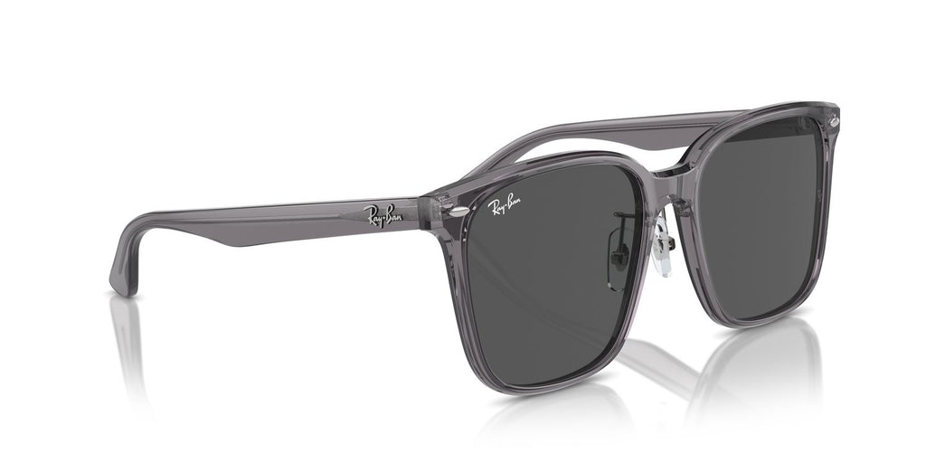 Ray-Ban | 0RB2206D