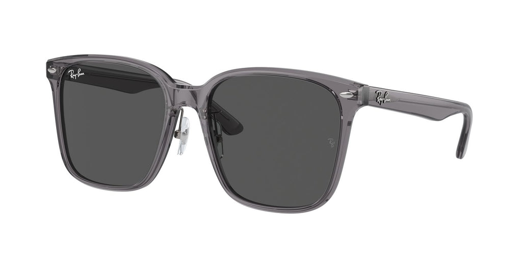 Ray-Ban | 0RB2206D