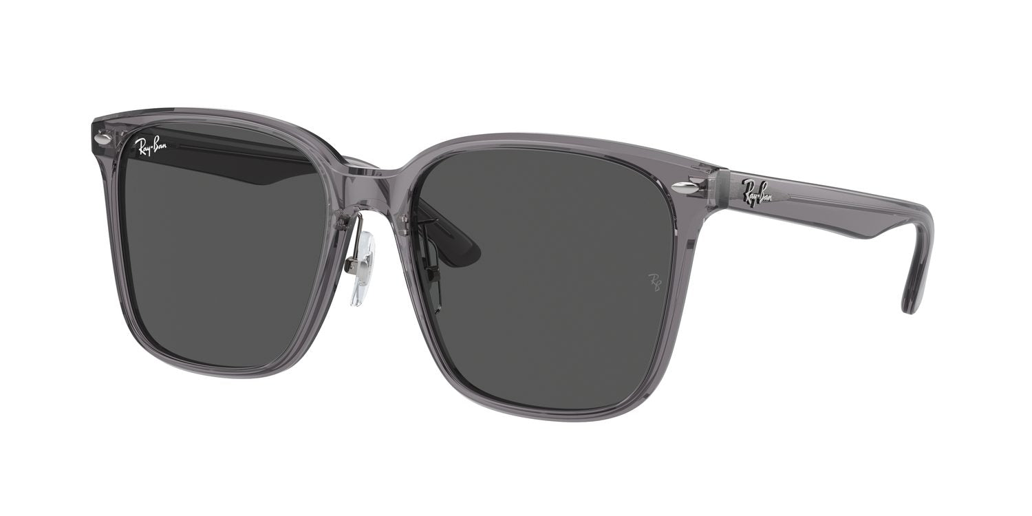 Ray-Ban | 0RB2206D