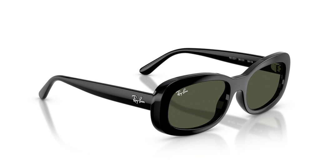 Ray-Ban | 0RB2221