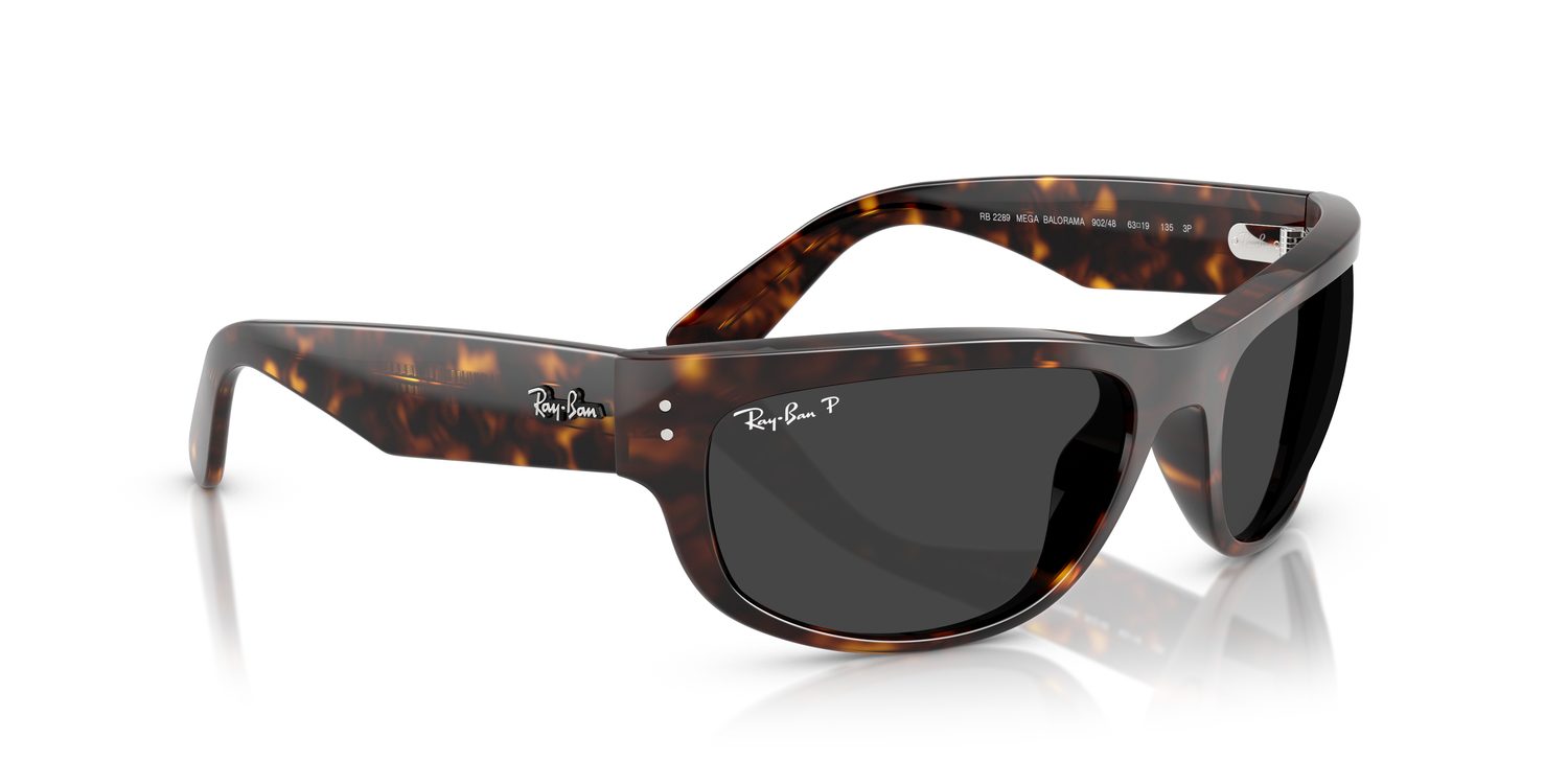 Ray-Ban | 0RB2289