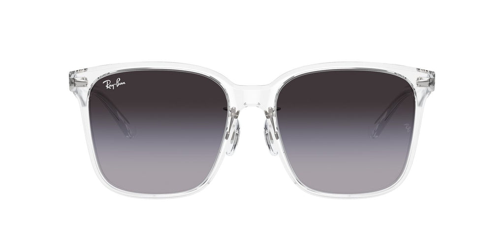 Ray-Ban | 0RB2206D