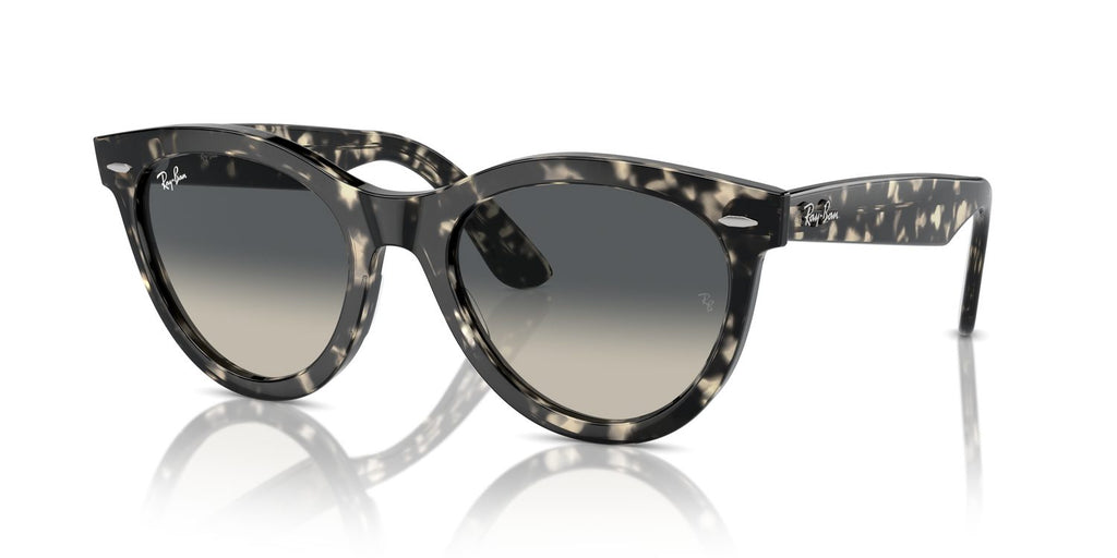 Ray-Ban | 0RB2241