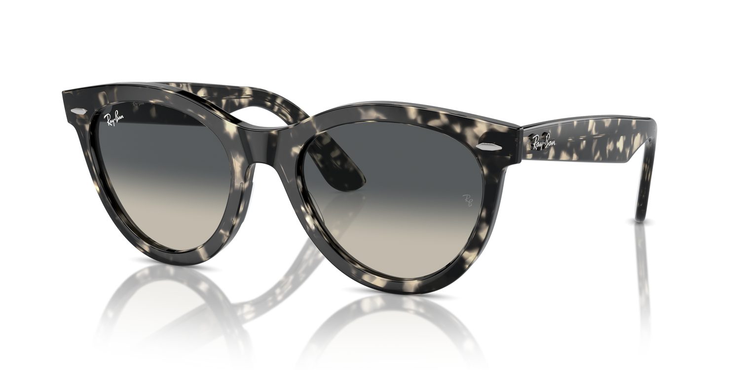 Ray-Ban | 0RB2241
