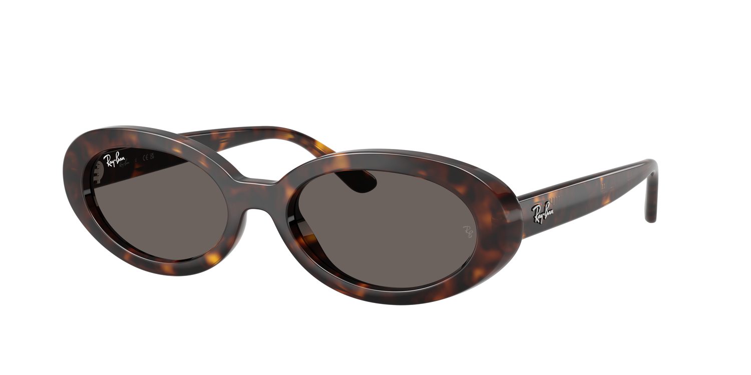 Ray-Ban | 0RB2223