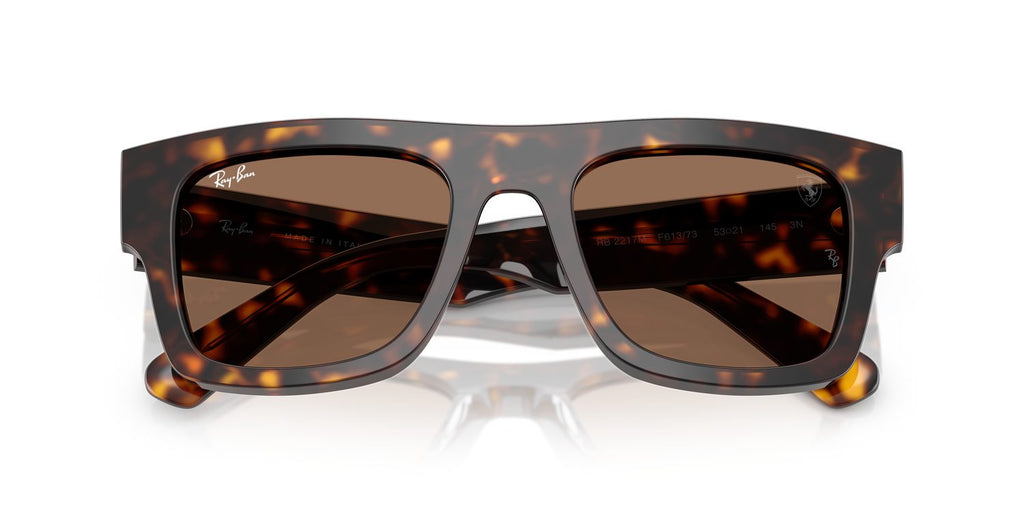 Ray-Ban | 0RB2217M