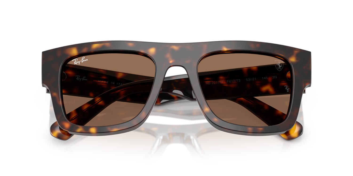Ray-Ban | 0RB2217M