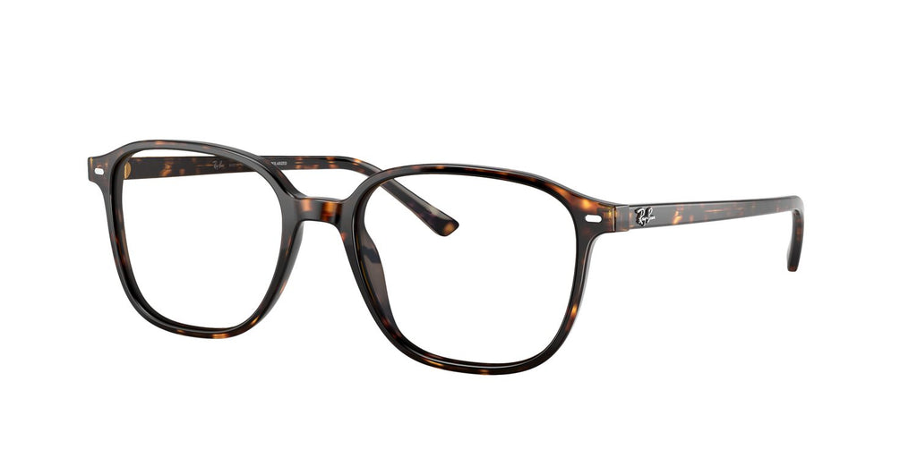Ray-Ban | 0RB2193