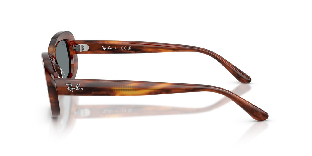 Ray-Ban | 0RB2221