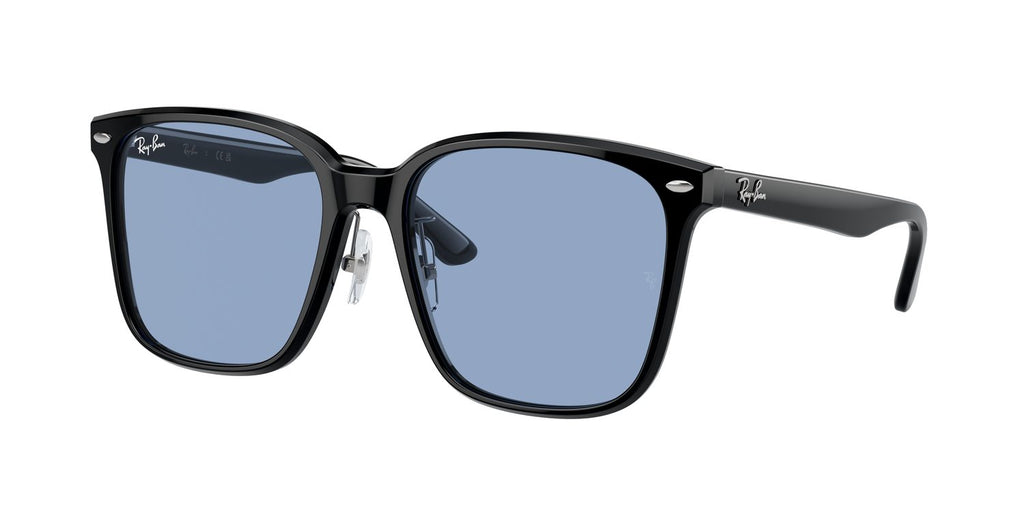 Ray-Ban | 0RB2206D