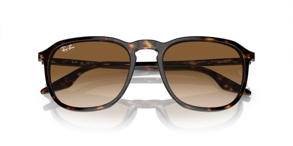 Ray-Ban | 0RB2203