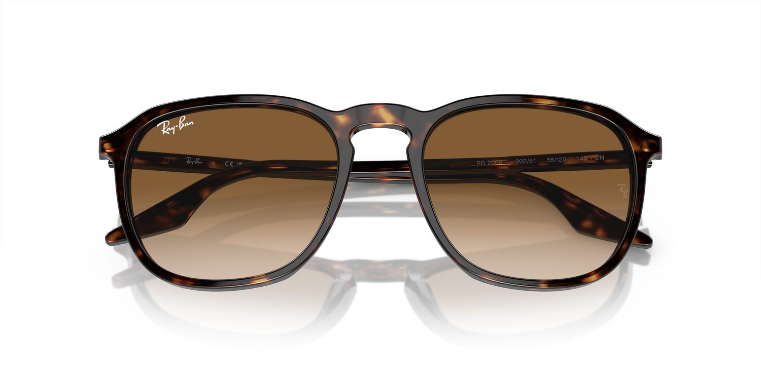 Ray-Ban | 0RB2203