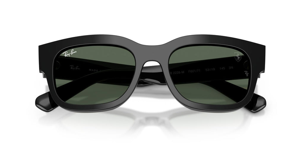 Ray-Ban | 0RB2228M