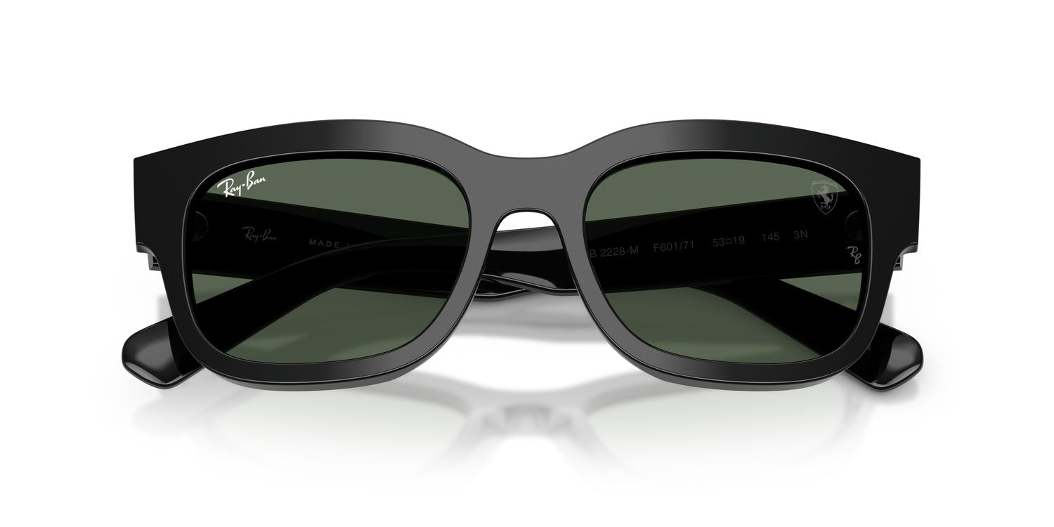 Ray-Ban | 0RB2228M