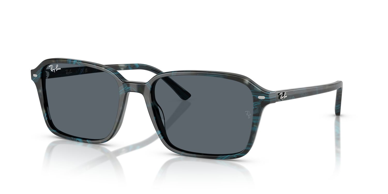 Ray-Ban | 0RB2231
