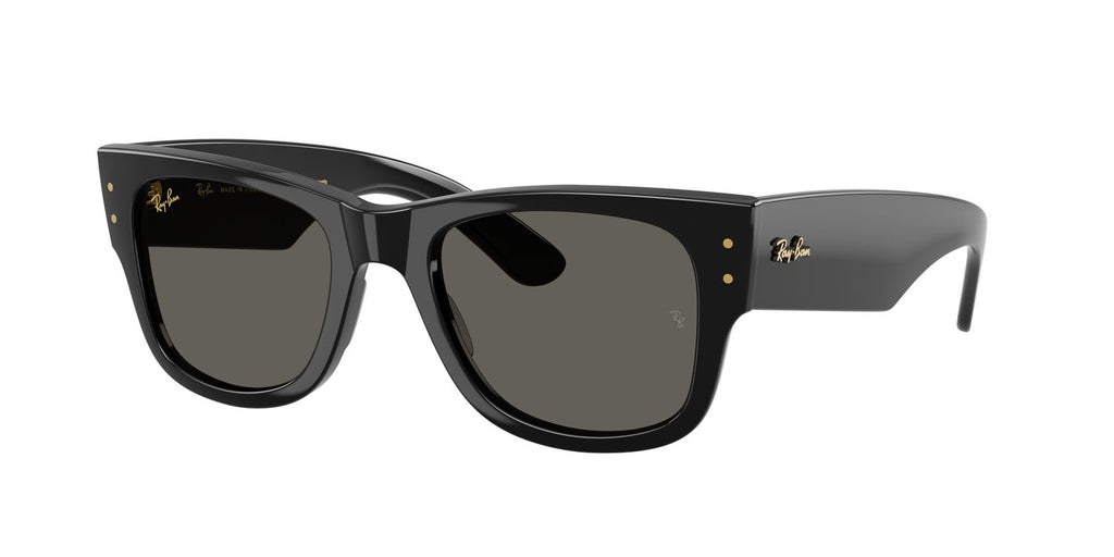 Ray-Ban | 0RB0840S