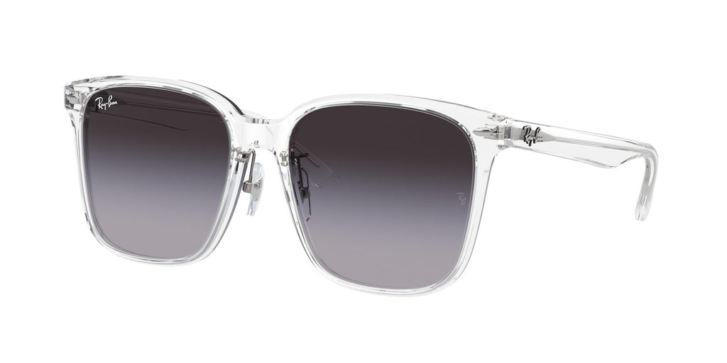 Ray-Ban | 0RB2206D