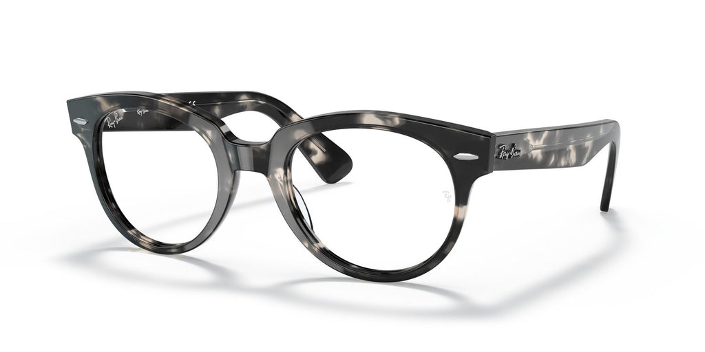 Ray-Ban | 0RX2199V (Orion)
