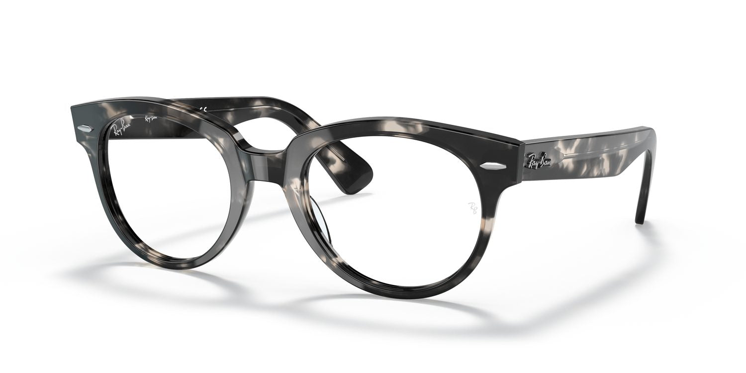 Ray-Ban | 0RX2199V (Orion)