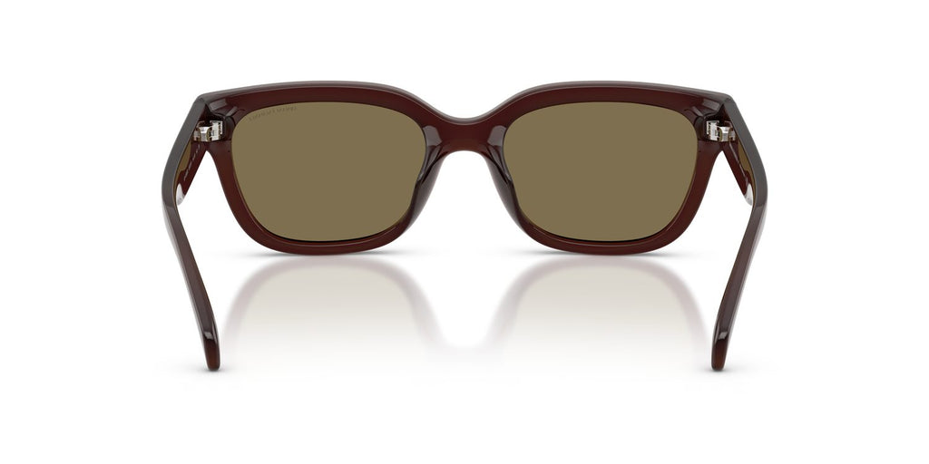 Armani Exchange | 0AX4155SU