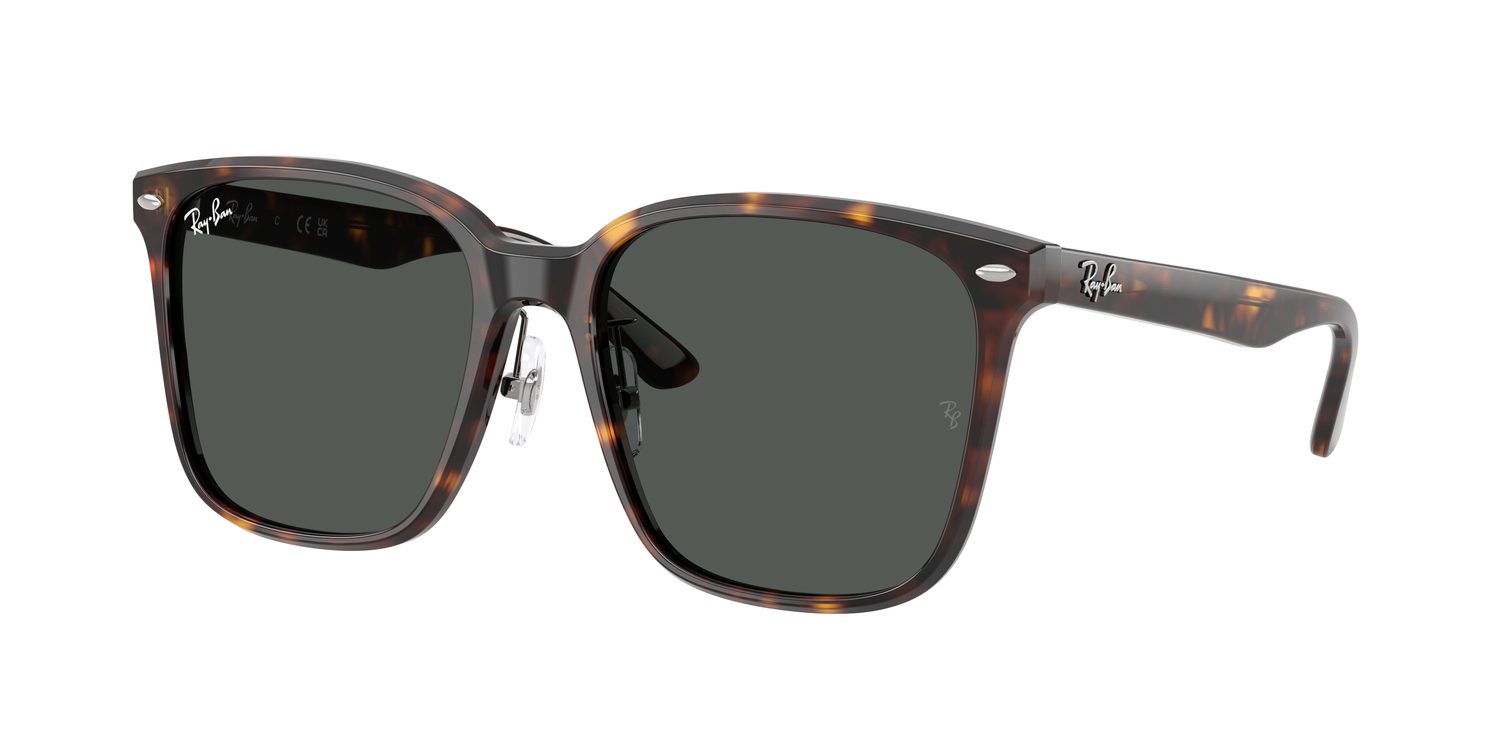 Ray-Ban | 0RB2206D