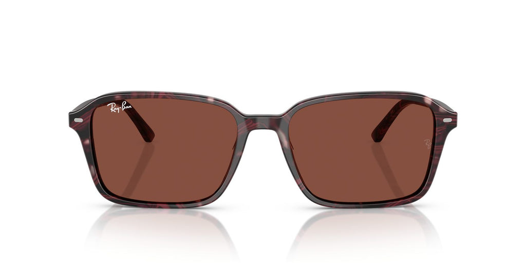 Ray-Ban | 0RB2231