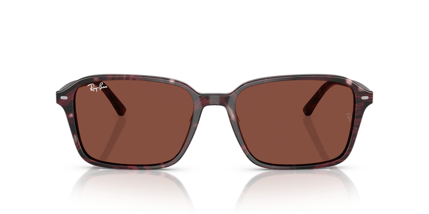 Ray-Ban | 0RB2231