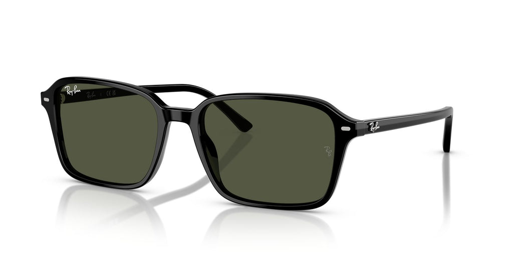 Ray-Ban | 0RB2231