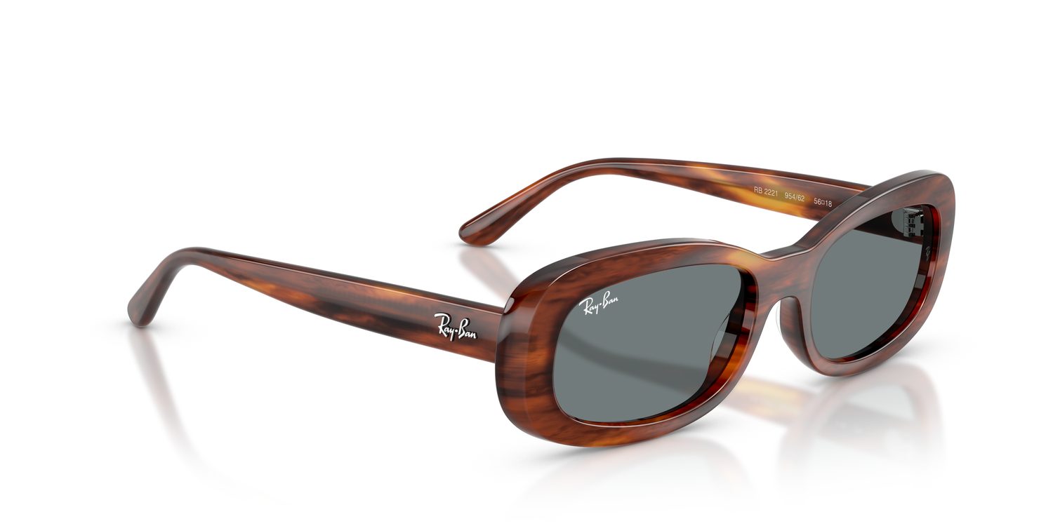 Ray-Ban | 0RB2221