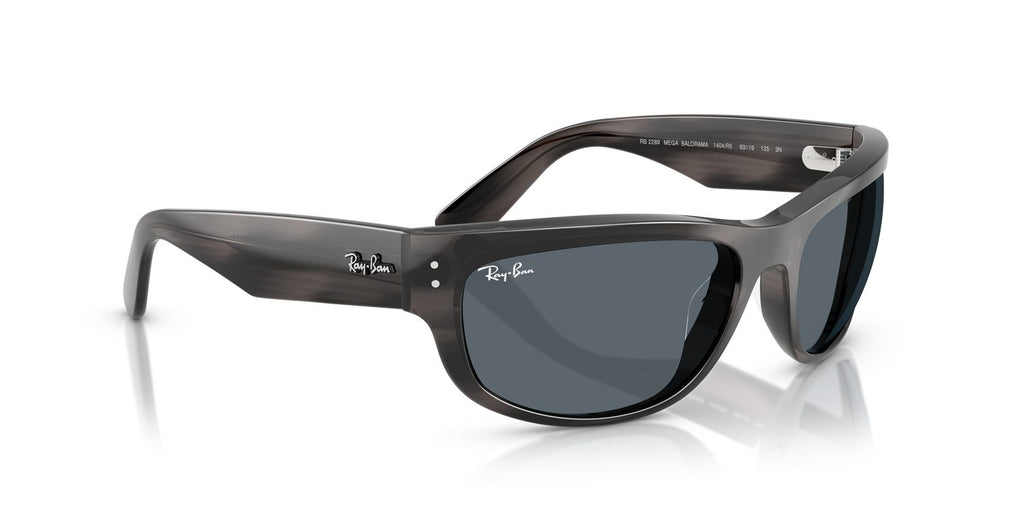 Ray-Ban | 0RB2289