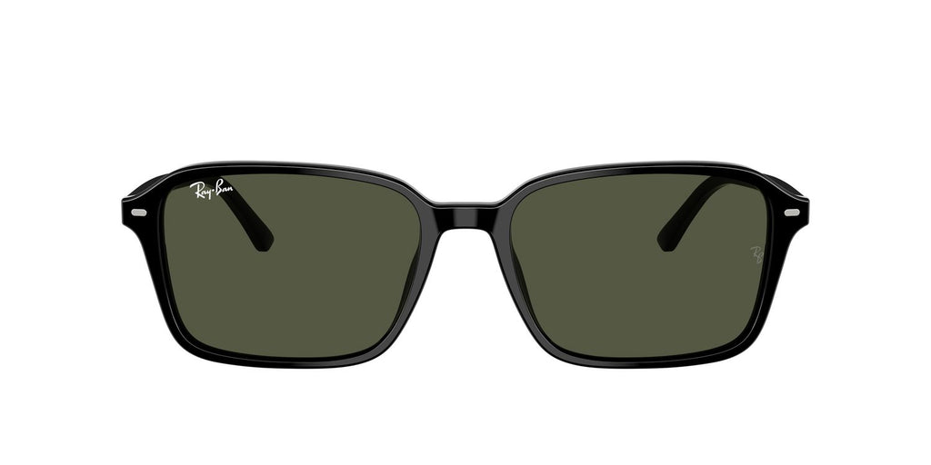 Ray-Ban | 0RB2231
