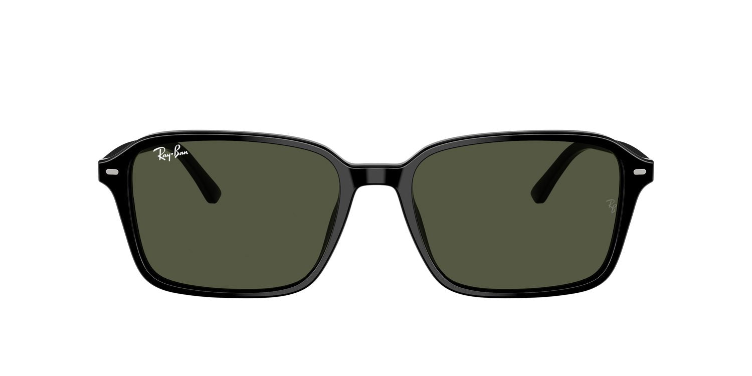 Ray-Ban | 0RB2231