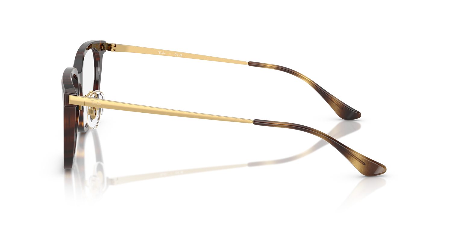 Ray-Ban | 0RX5442D (0RX5442D)
