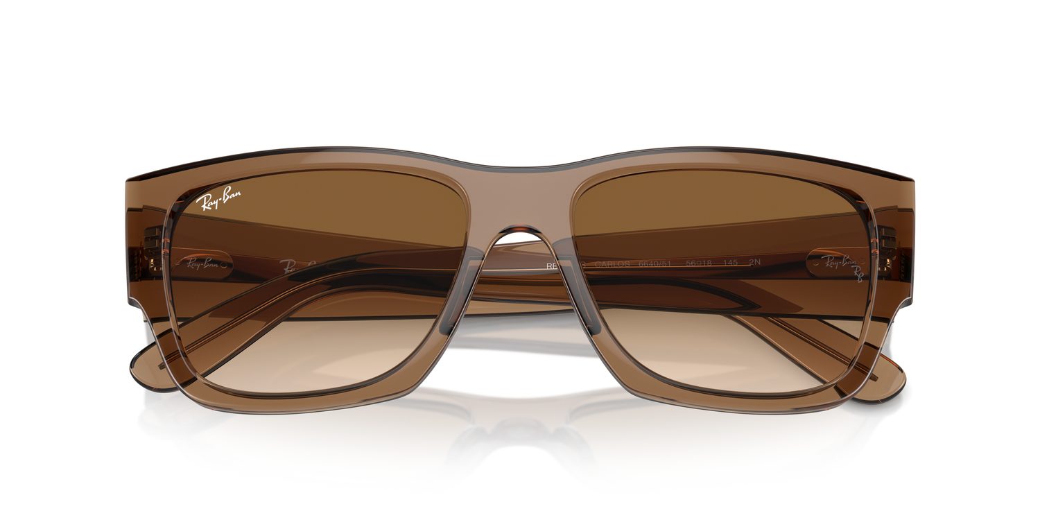 Ray-Ban | 0RB0947S