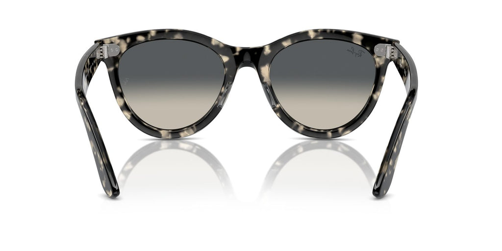 Ray-Ban | 0RB2241