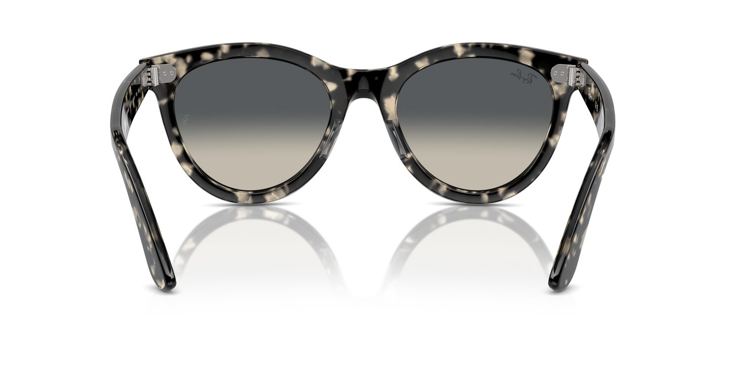 Ray-Ban | 0RB2241