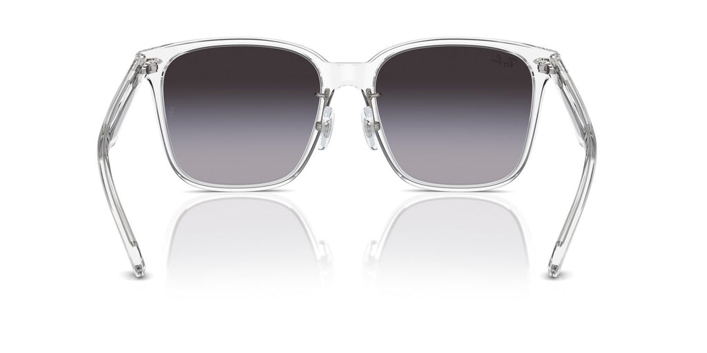 Ray-Ban | 0RB2206D