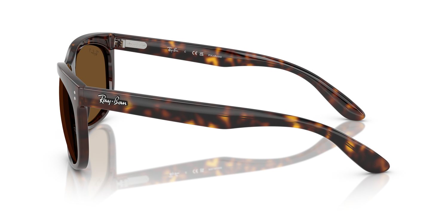 Ray-Ban | 0RB2389