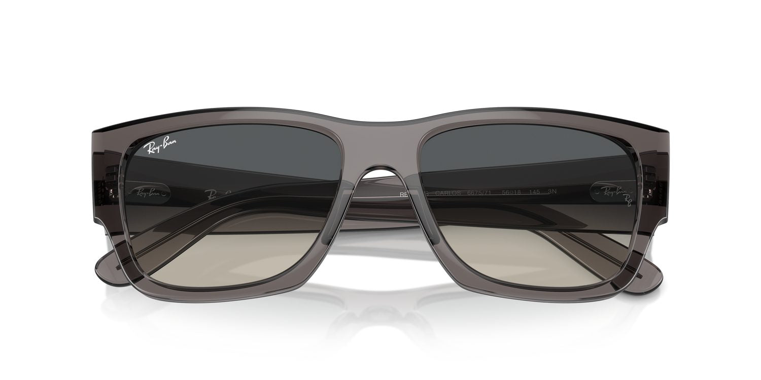 Ray-Ban | 0RB0947S