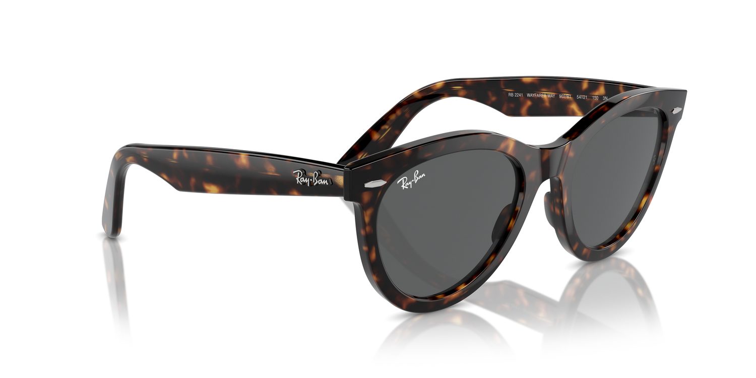 Ray-Ban | 0RB2241