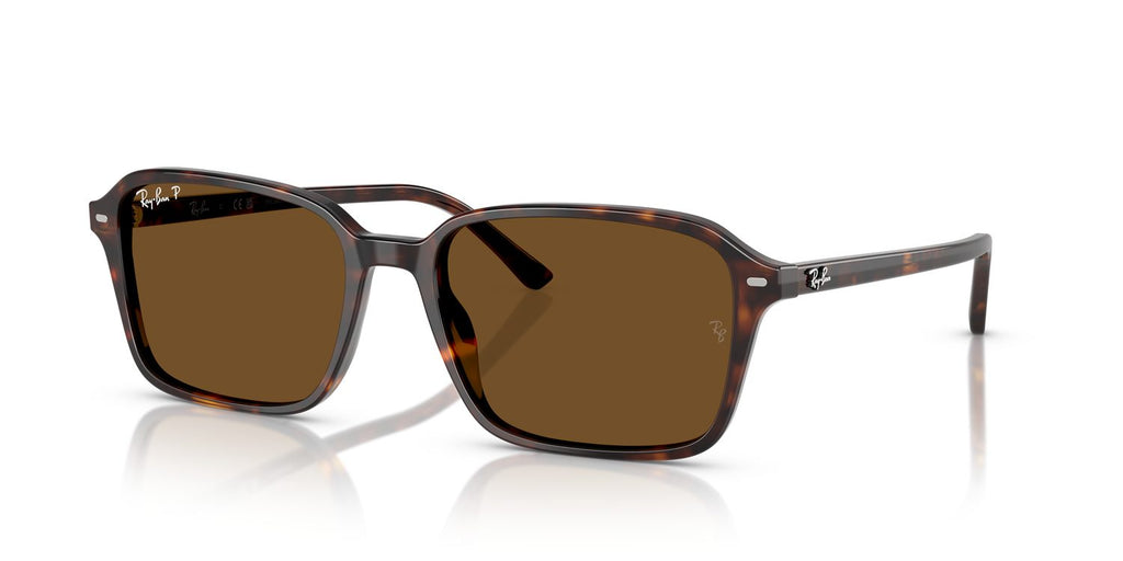 Ray-Ban | 0RB2231