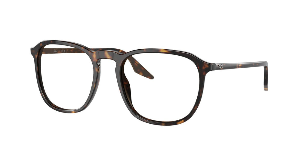 Ray-Ban | 0RB2203