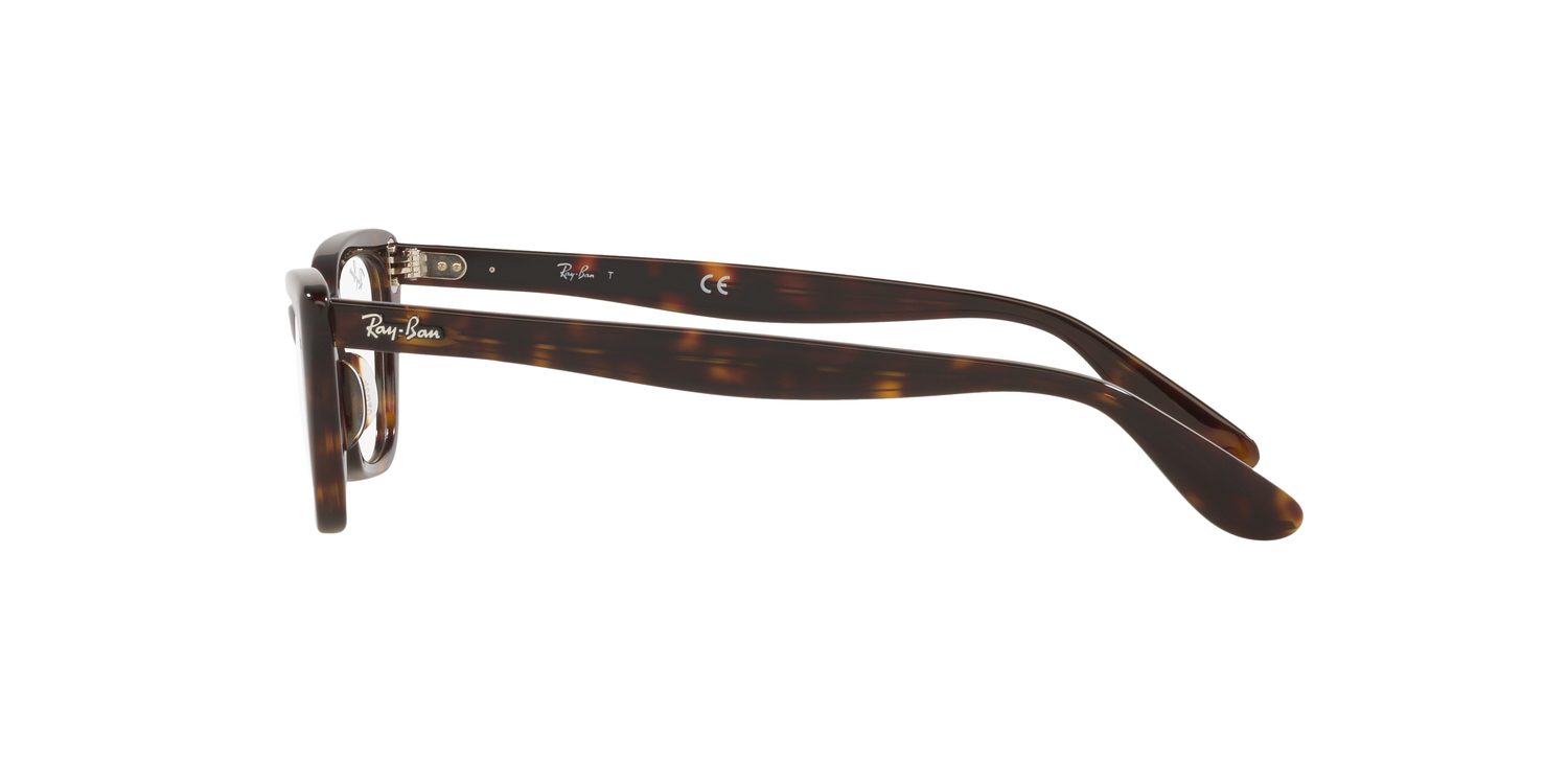 Ray-Ban | 0RX5499 (Lady Burbank)