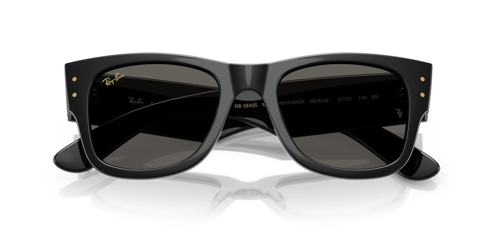 Ray-Ban | 0RB0840S
