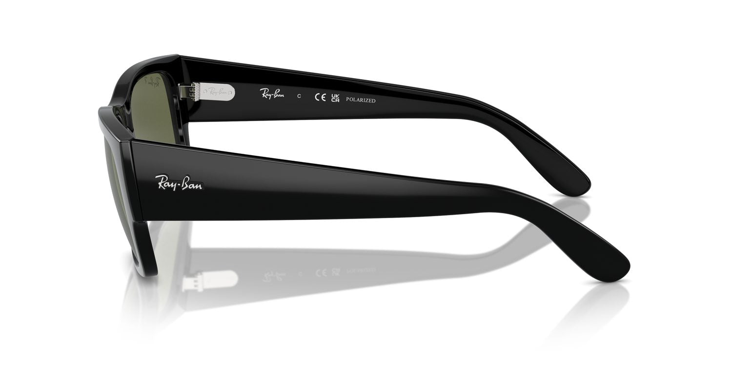 Ray-Ban | 0RB0947S