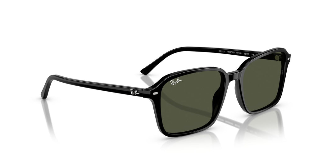 Ray-Ban | 0RB2231