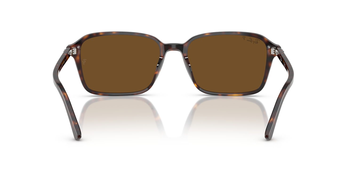 Ray-Ban | 0RB2231