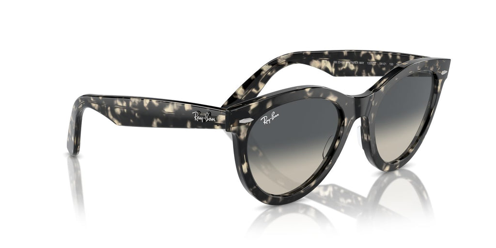 Ray-Ban | 0RB2241